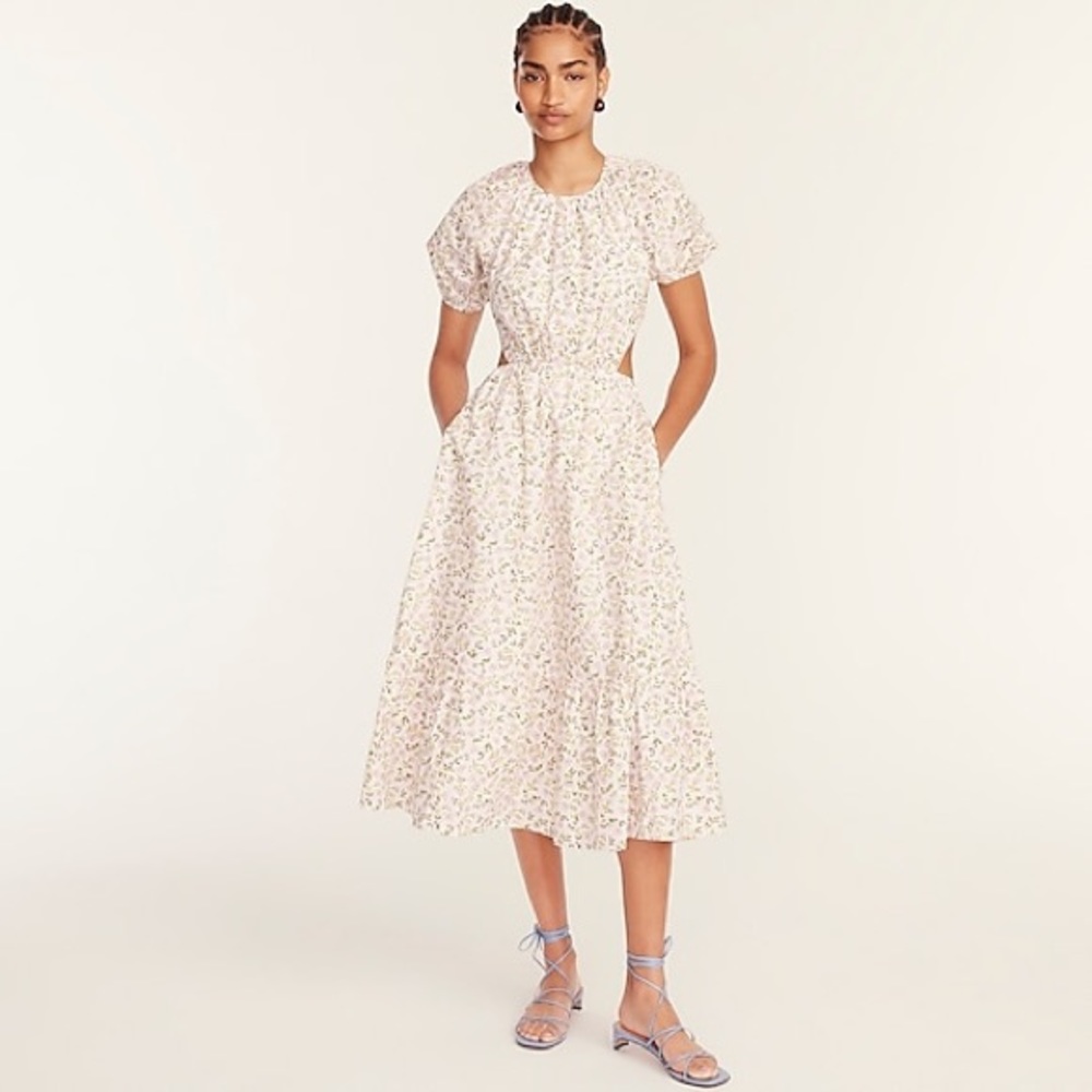 NWT J.Crew Side-cutout cotton poplin dress in meadow floral